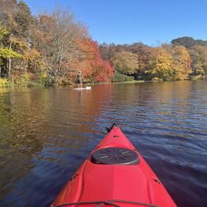 Meet your Posher, Lesley